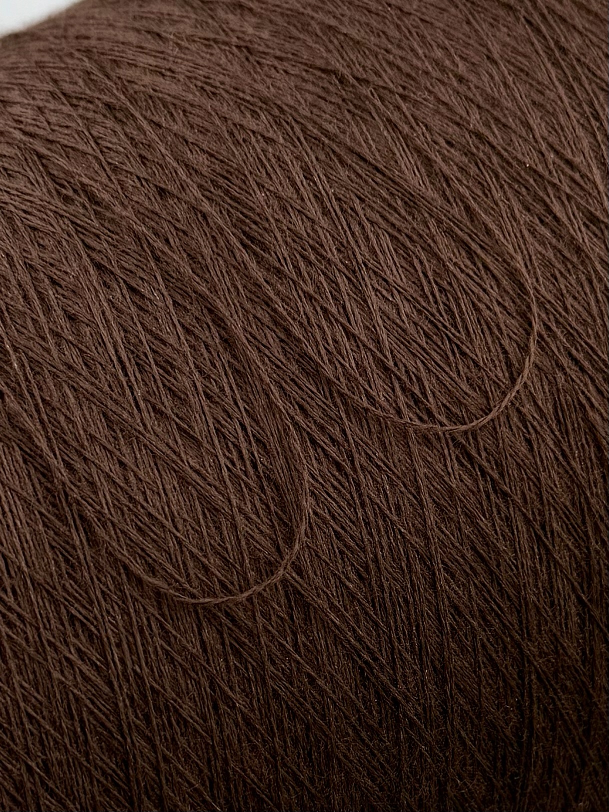 Zegna Baruffa Cashwool 2/30 – Extrafeines Merinogarn Schokobraun 025628